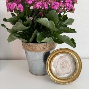 Handcrafted watercolor original rose in 4x4 gold frame